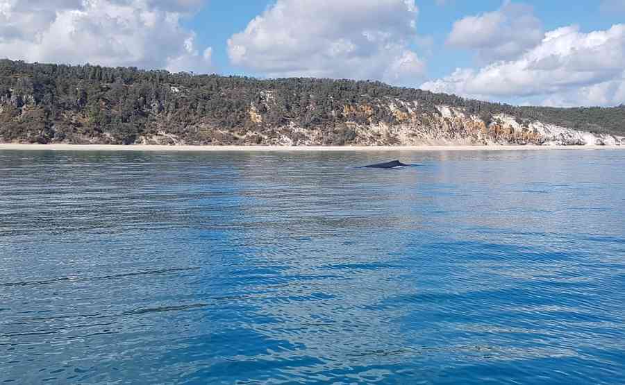 Great Sandy Marine Park