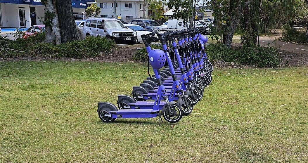 Top 38 Things To Do In Hervey Bay, And Free Things To Do