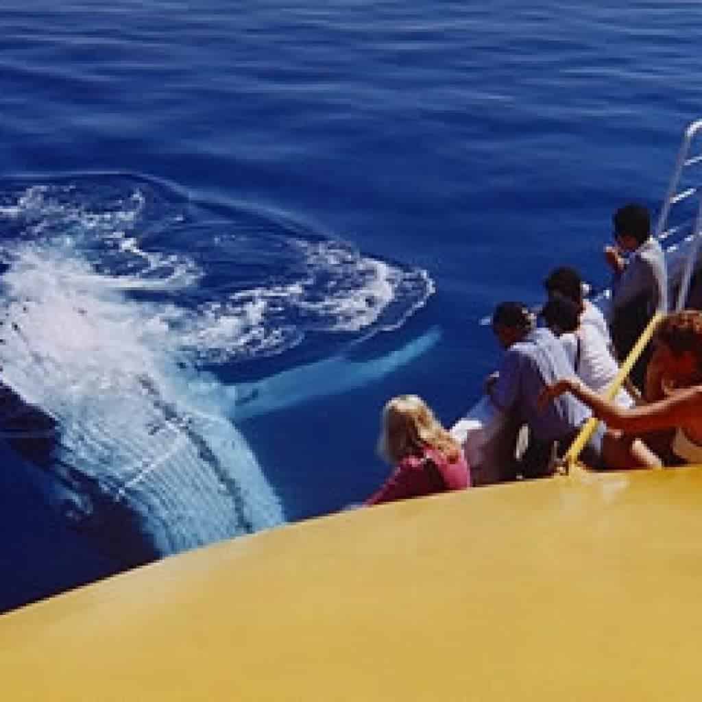 Spirit of hervey Bay