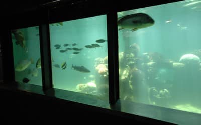 Reefworld Aquarium