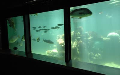 Reefworld Aquarium Reefworld Aquarium