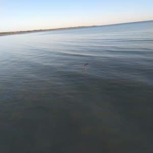 Hervey Bay Hervey bay