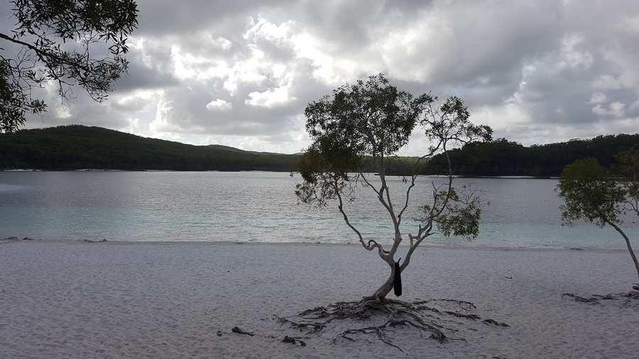 Lake Mckenzie