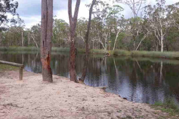 Wongi Waterholes