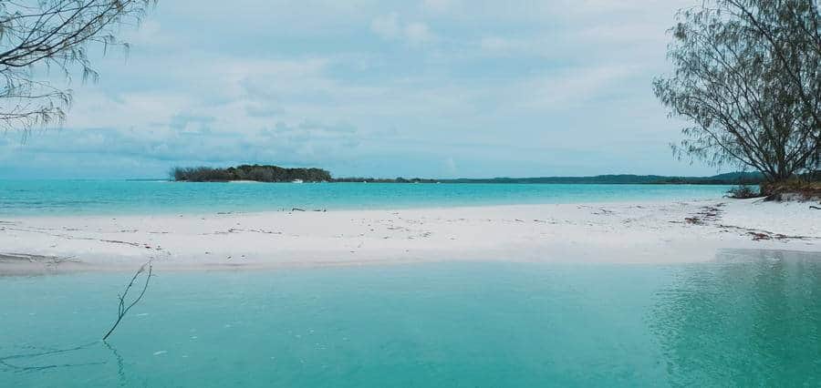 Fraser Island Crocs