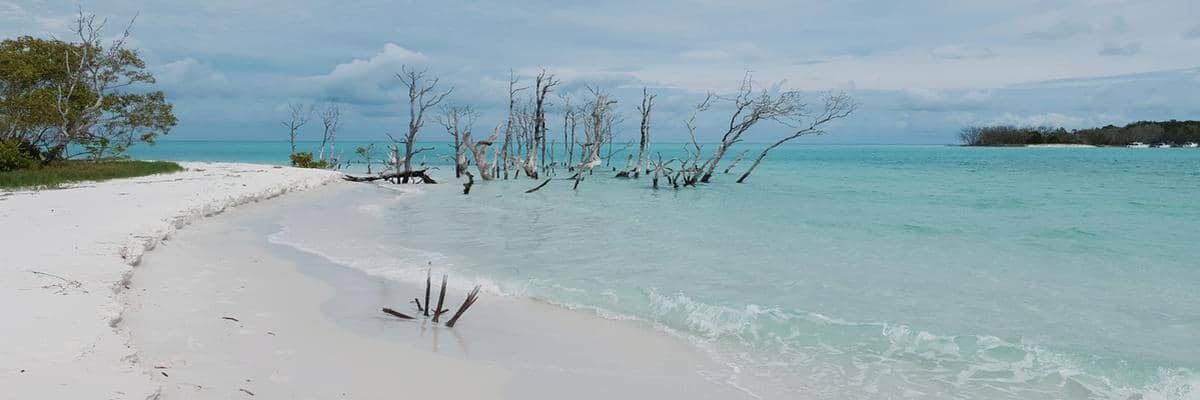 Fraser island