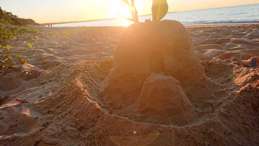 Sandcastle Ideas For Beginners