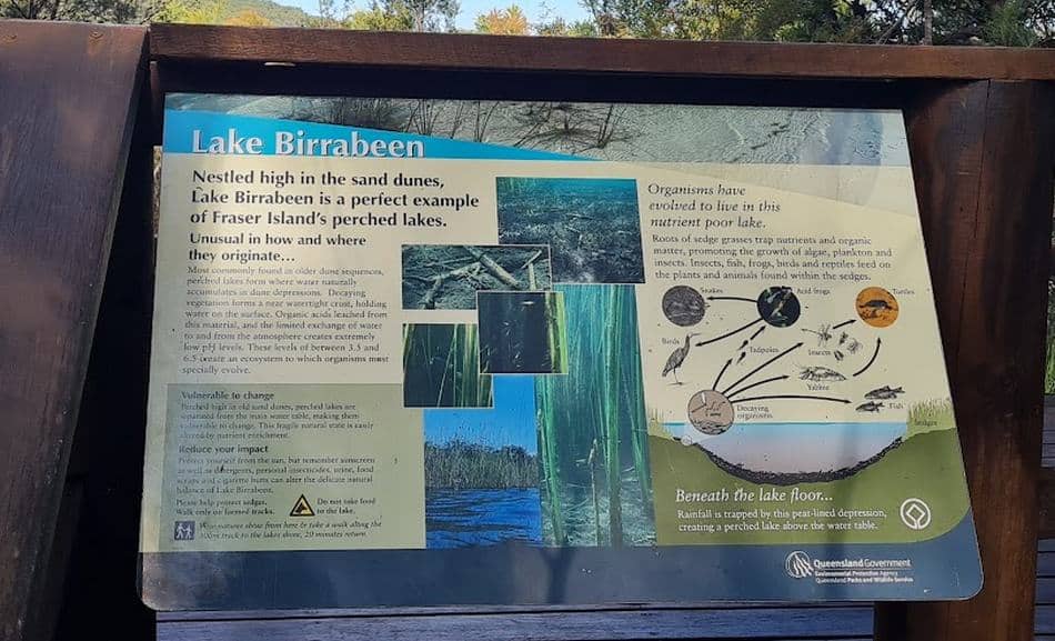 Lake Birrabeen info