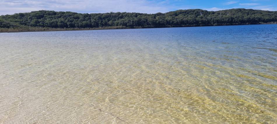 Lake Birrabeen water