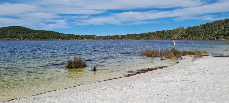 Lake Birrabeen waters