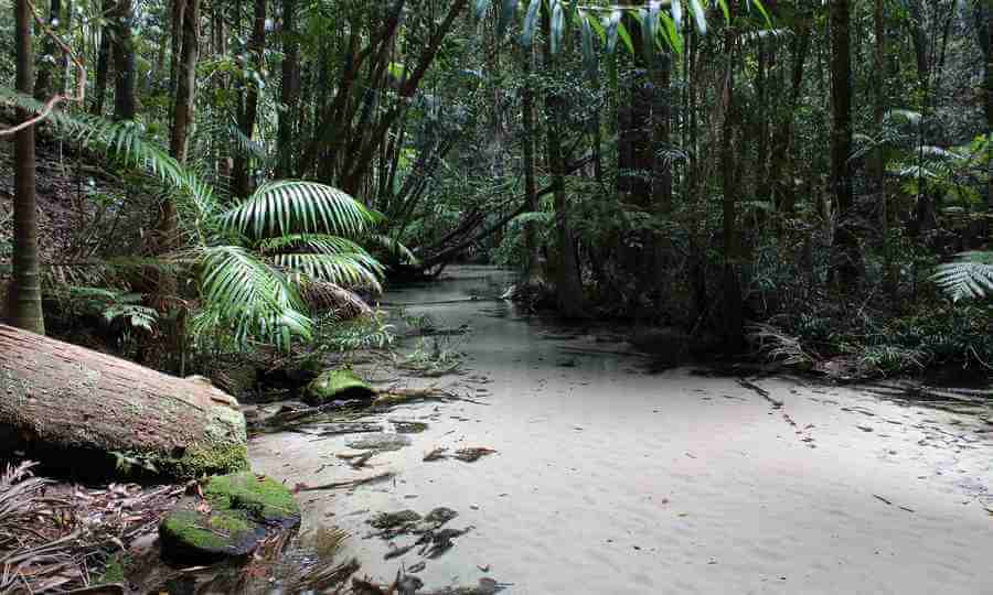 Wanggoolba Creek