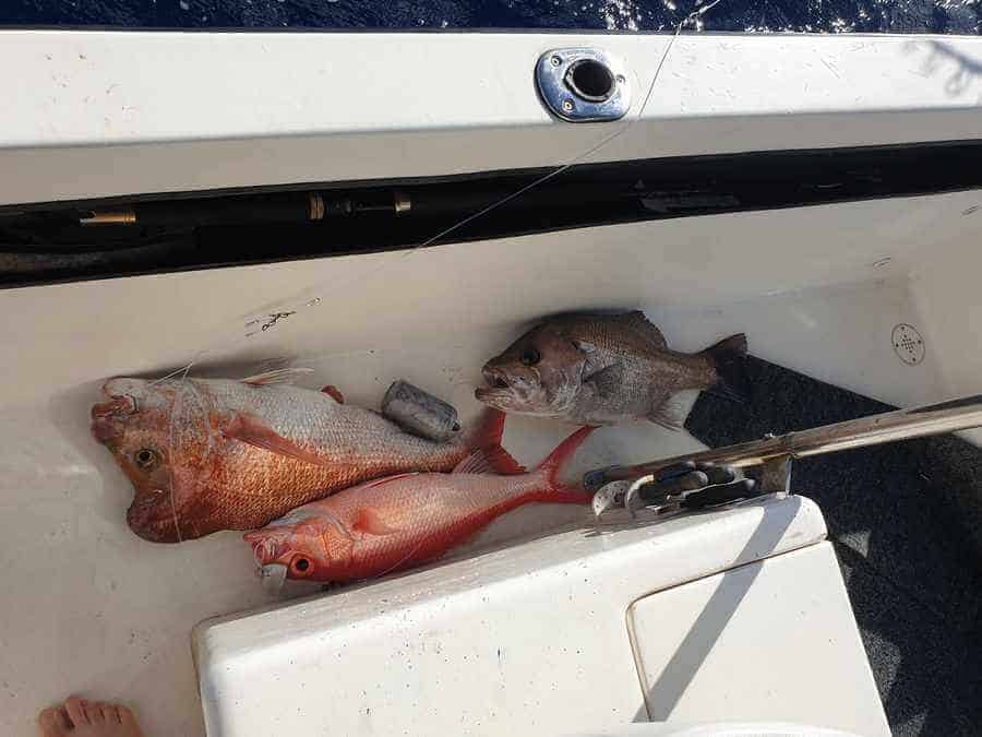 Fishing At Fraser Island