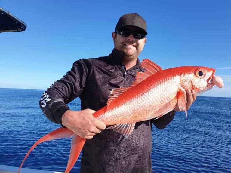 Fishing Hervey Bay, Fishing Tips, Best Spots To Go Fishing