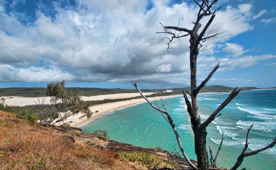 Indian Head Fraser Island