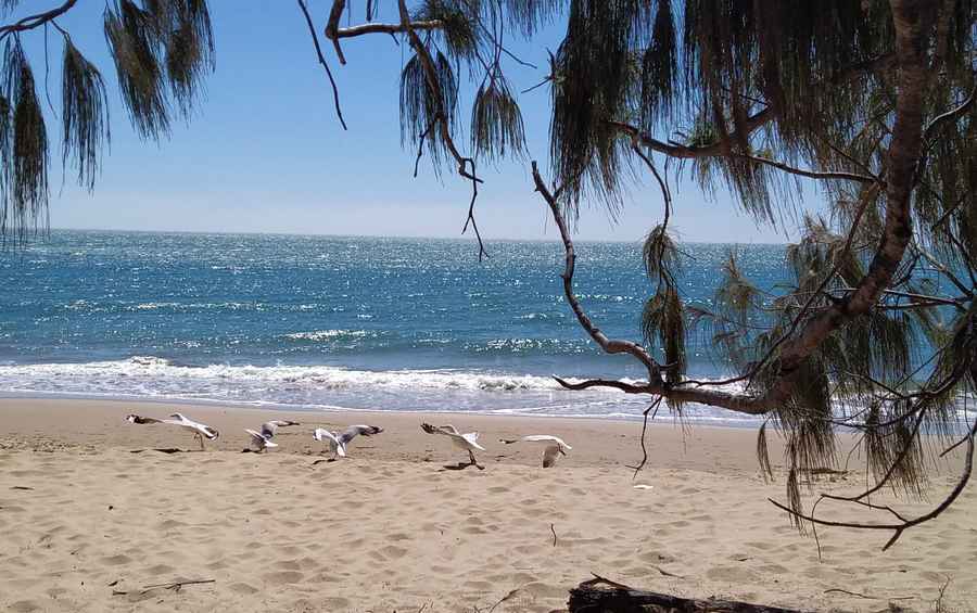 Hervey Bay Beaches