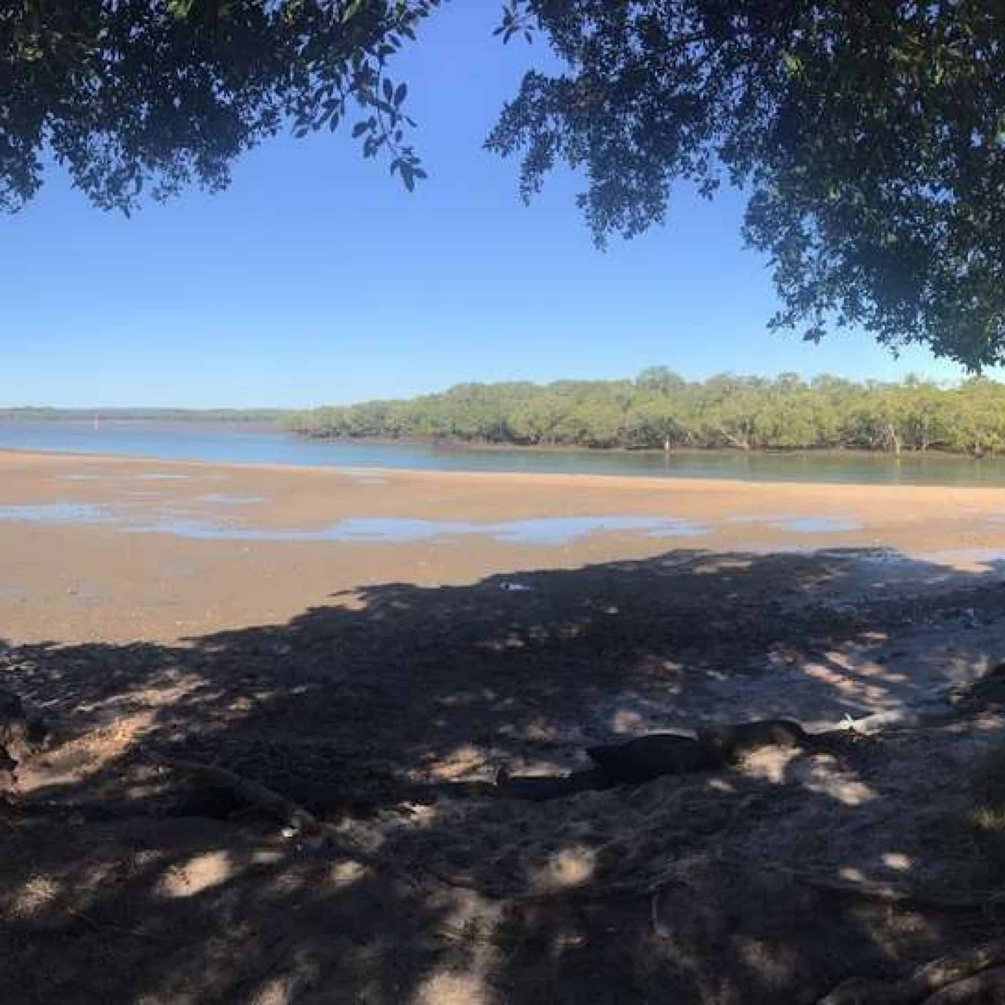 Great Sandy Straits Queensland Something For Everyone!