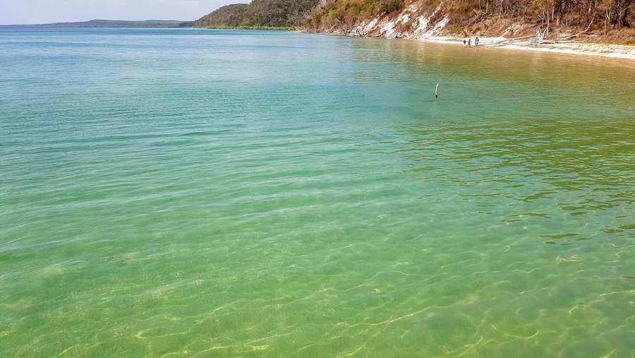 Swimming In The Sea At Fraser Island