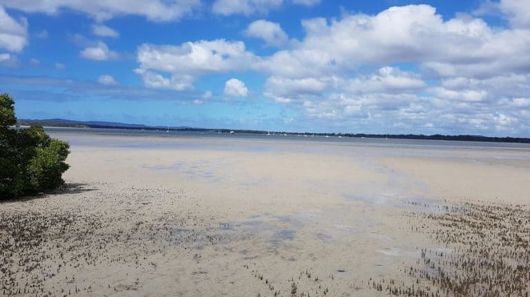 Things To Do In Tin Can Bay, Markets, Fishing, Camping