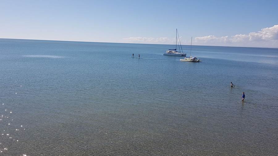 swimming hervey bay