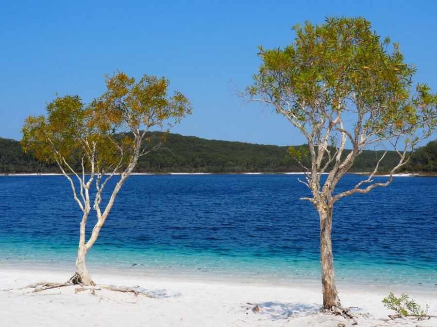 Lake McKenzie