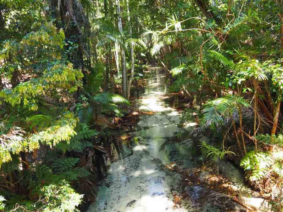 Fraser Island Great Walk