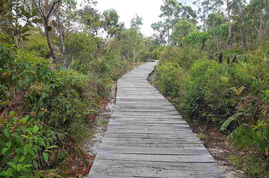 Walking Trails Kingfisher Bay