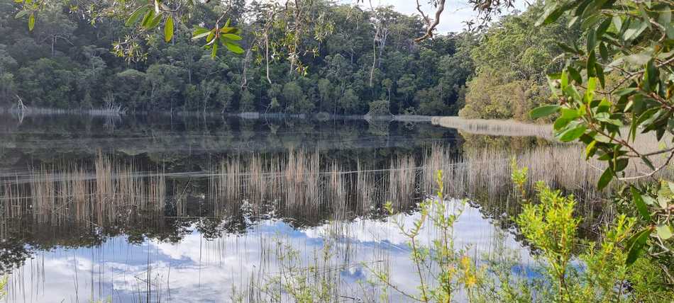 Lake Allom water