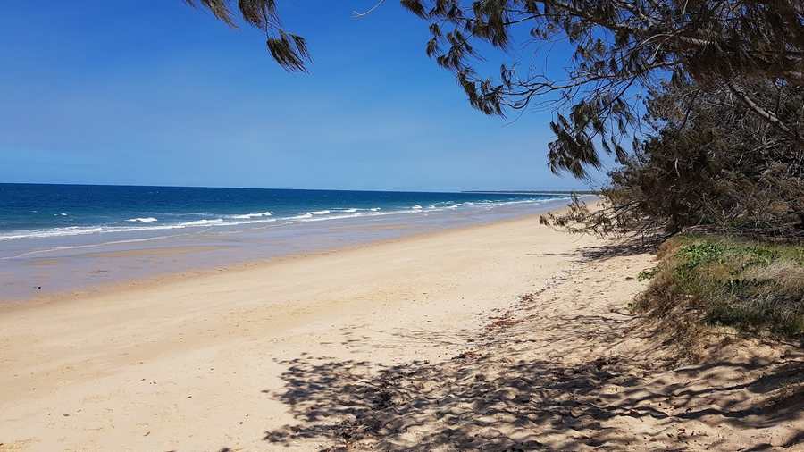 Dog Friendly Woodgate Beach