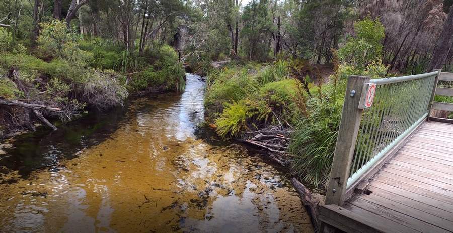 Seary's Creek