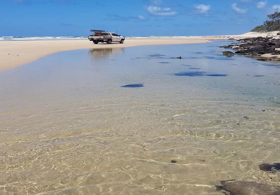 Fraser Island Tours