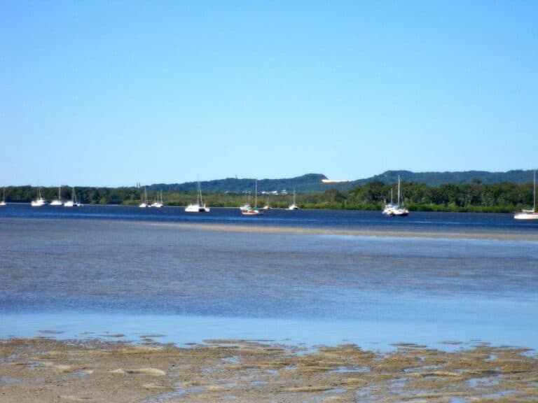 Can You Swim In Tin Can Bay? Yes It's Safe Here