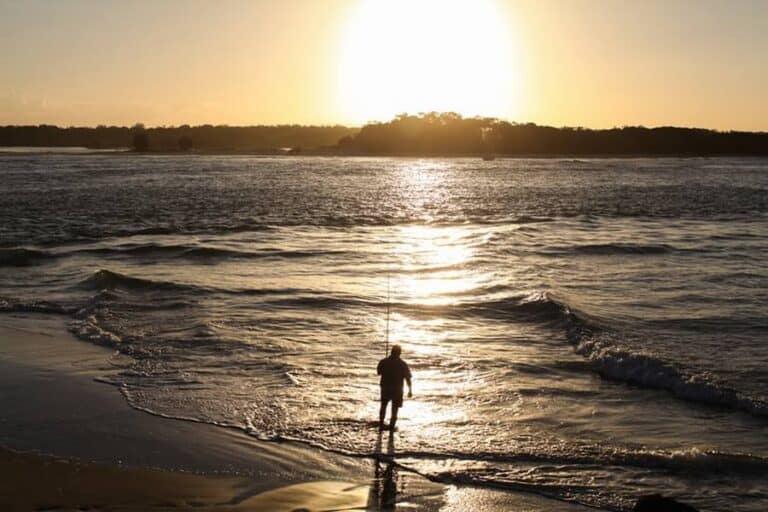 What Fish Can You Catch In Noosa?