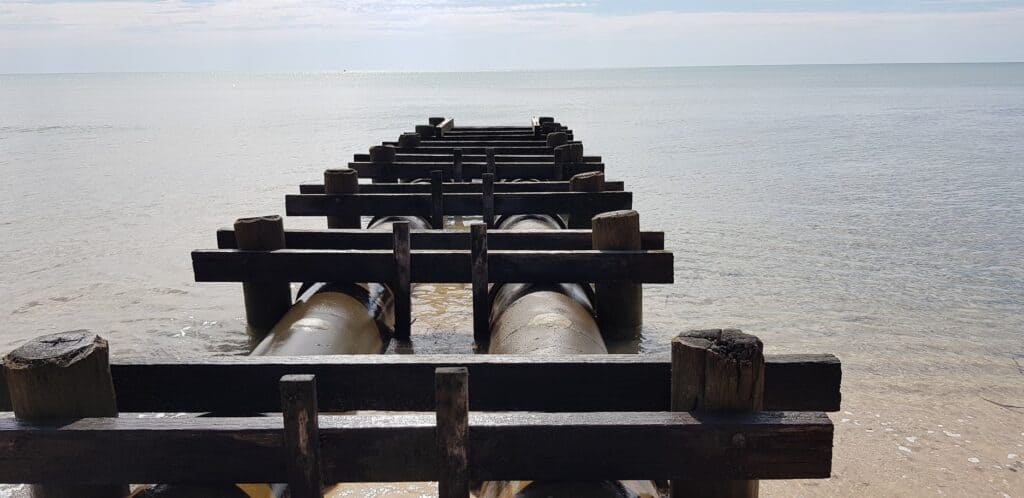 Fish In Burrum Heads