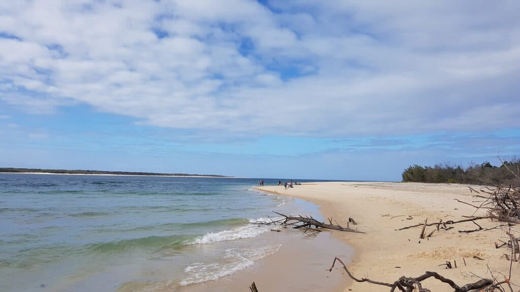 Fish Inskip Point