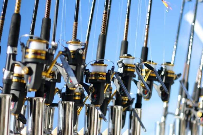 How Many Fishing Rods Can One Person Have In Victoria?
