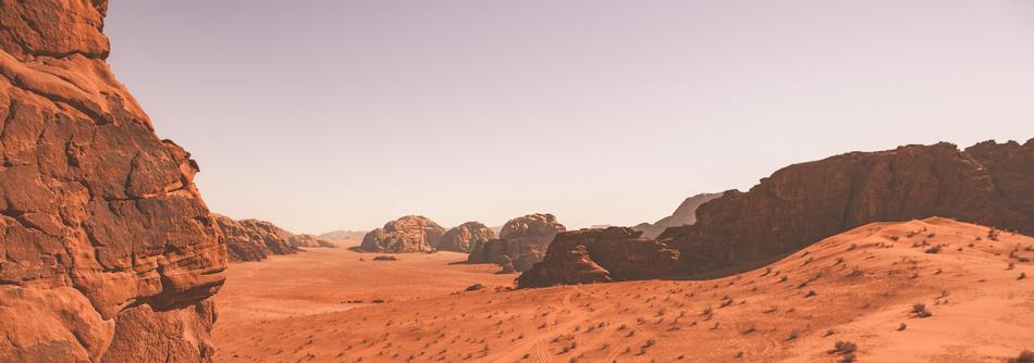 Survivalist desert