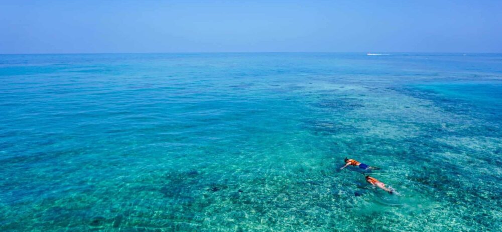 Best Time Of Day For snorkeling