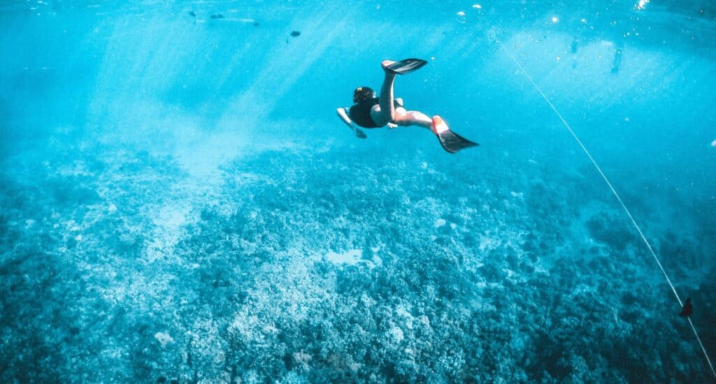 Hawaii snorkeling