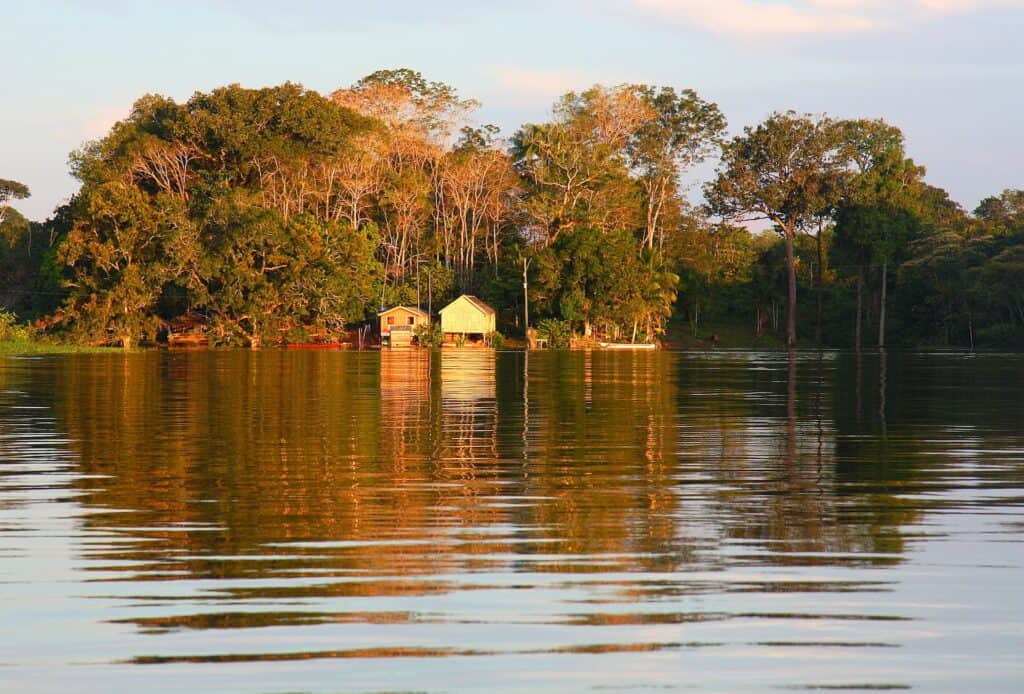 amazon cruise